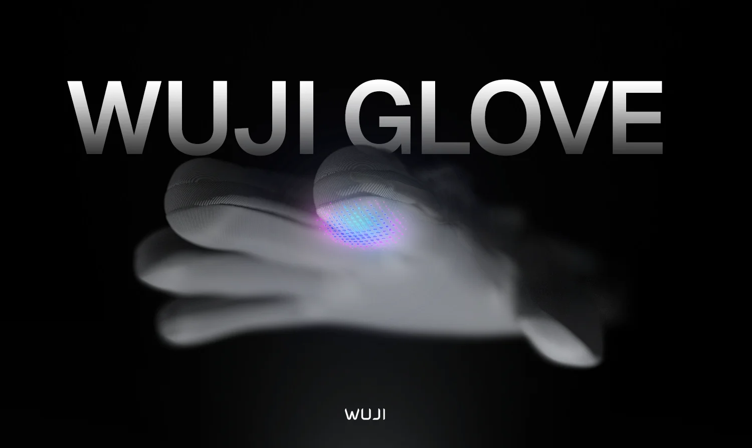 Wuji Glove Video